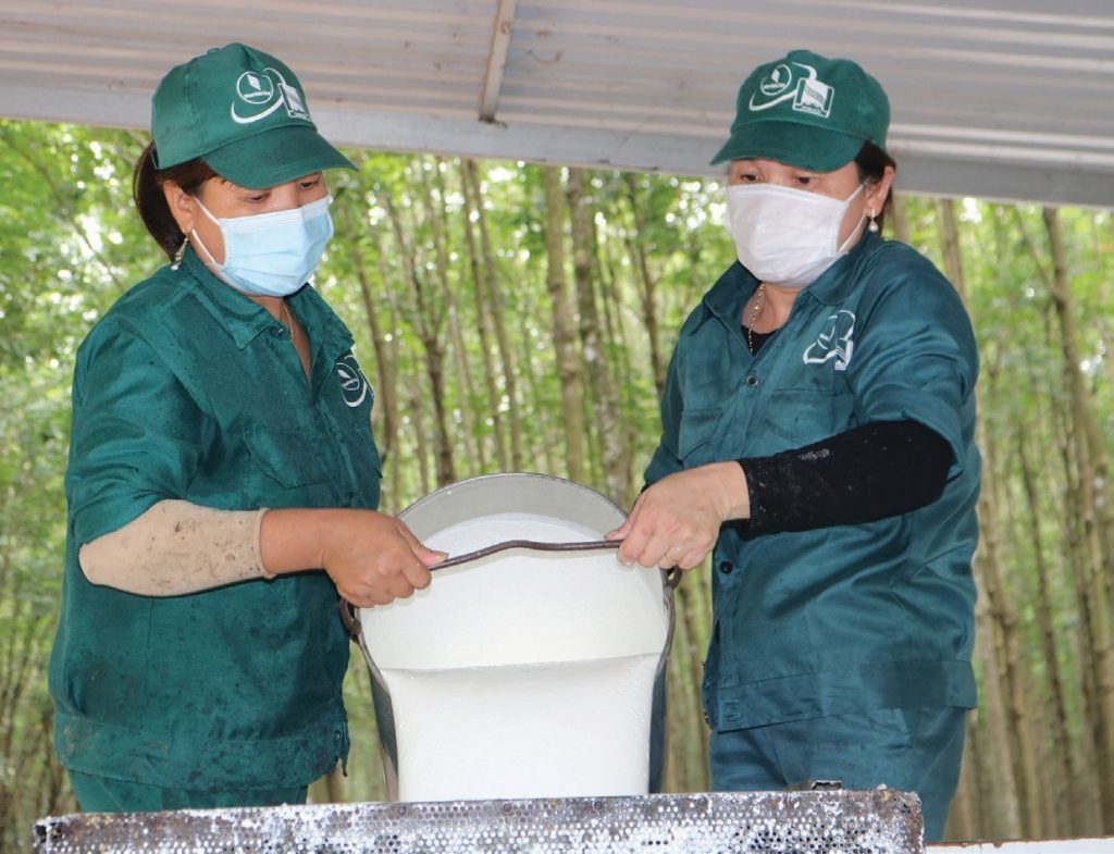 Các công ty khu vực Đông Nam bộ: “Anh cả” dẫn đầu trên mọi “mặt trận”